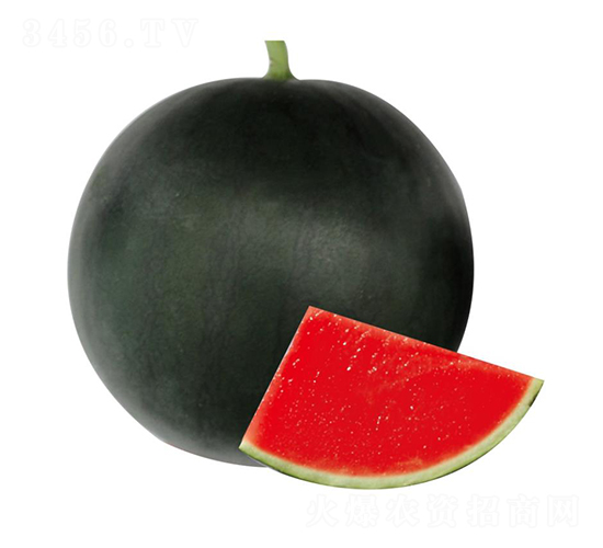 Ϋ��8��-��������-��ľ����