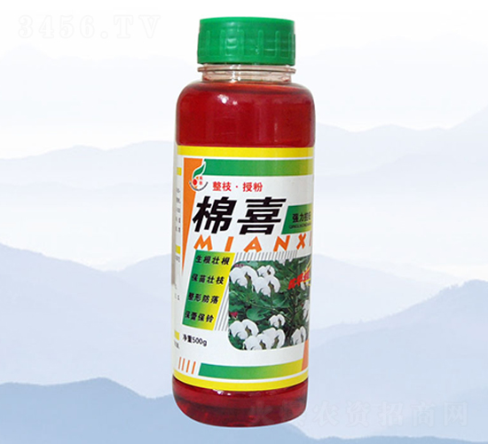 500g��ϲ-�̷�