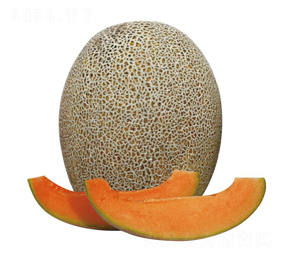 �λ�-�������-��ľ����