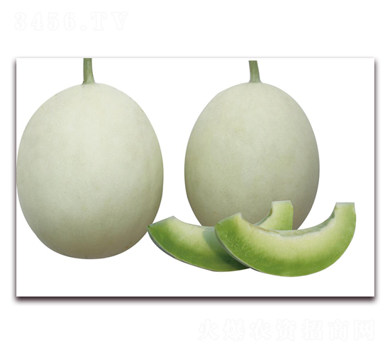 �׹���-�������-��ľ����