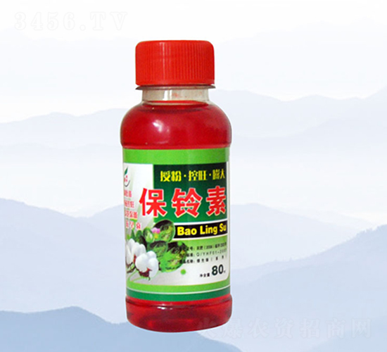 80ml������-�̷�
