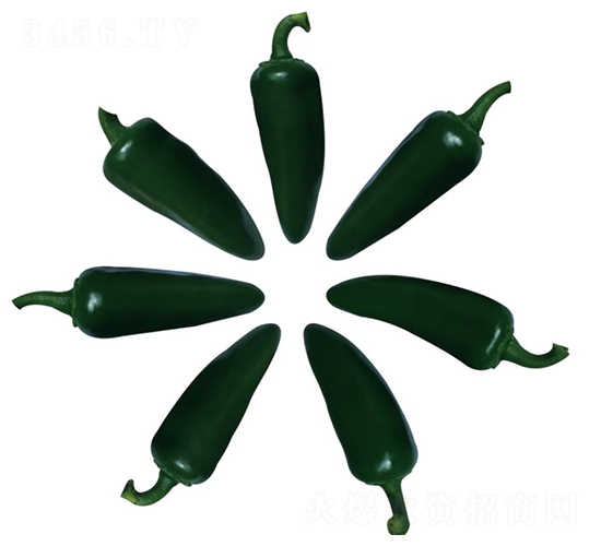 ����06-��������-��ľ����