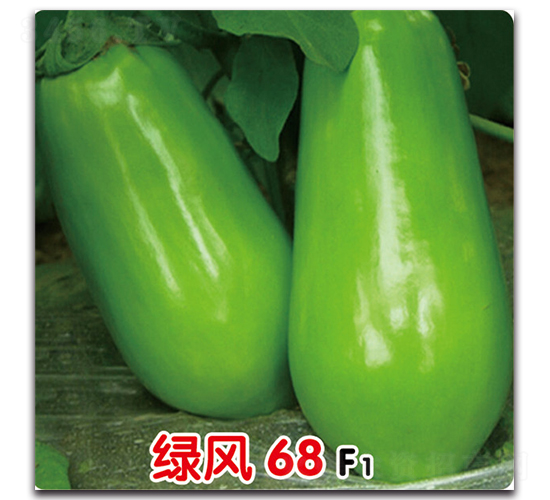 �̷�68F1-��������-ʢ����ҵ
