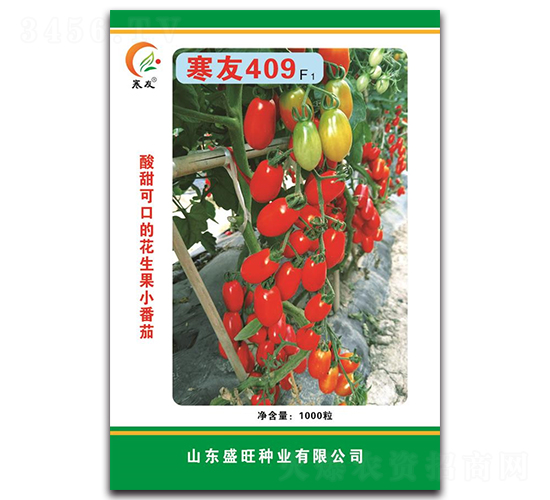 ����409F1-��������-ʢ����ҵ