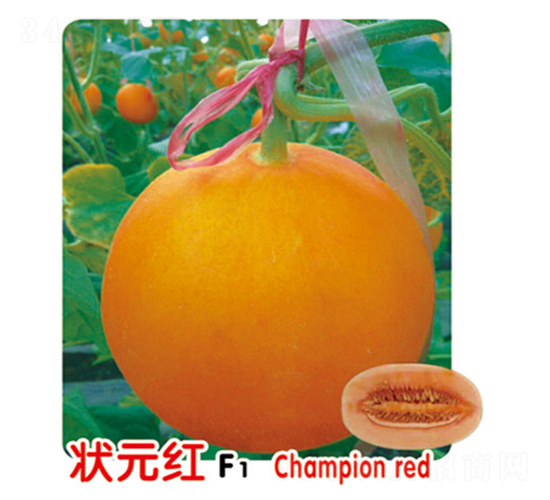 ״Ԫ��F1-�������-ʢ����ҵ