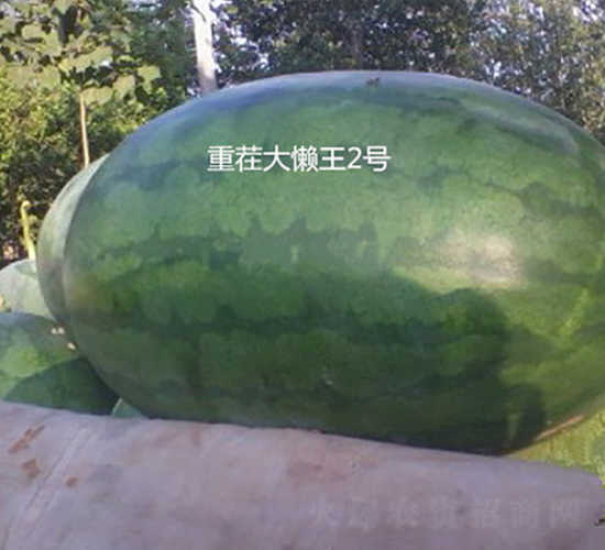 �ز������2��-��������-ʢ����ҵ