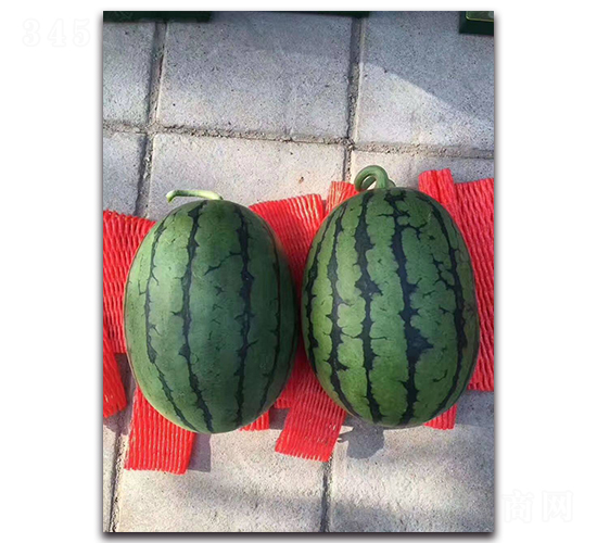 ����2K-��������-ʢ����ҵ