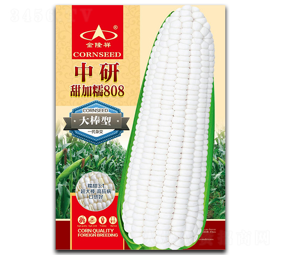 �������Ŵ808-Ŵ��������-��¡��