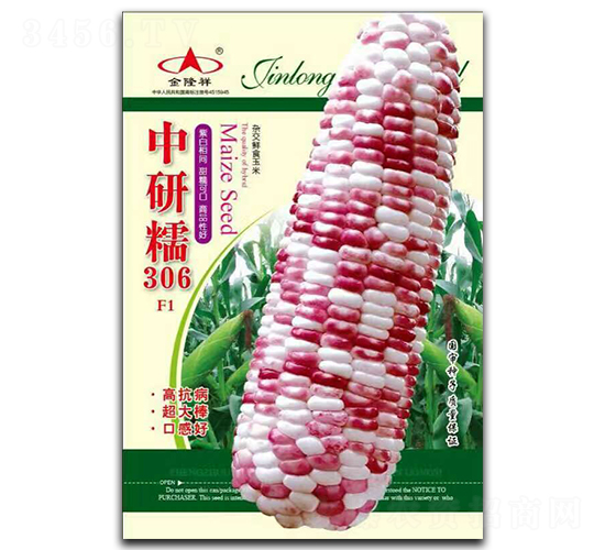 ����Ŵ306-Ŵ��������-��¡��