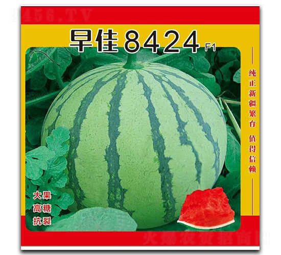 ���8424-��������-��¡��