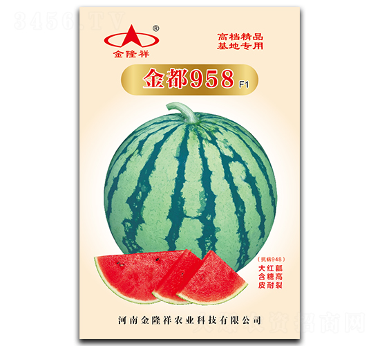 ��958-��������-��¡��