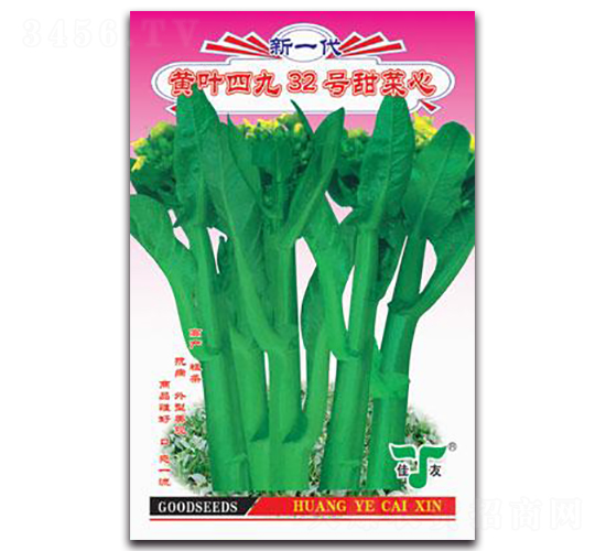 ��Ҷ�ľ�32�������-��������-������ҵ