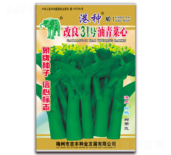 ���ָ���31���������-��������-������ҵ