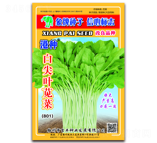 �������ְ׼�Ҷ�Ȳˣ�801��-�Ȳ�����-������ҵ