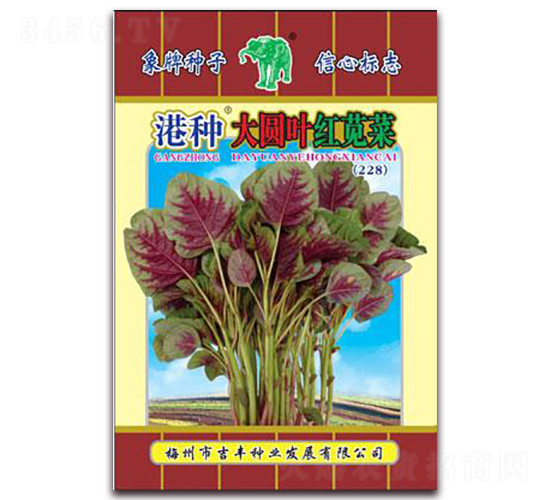���ִ�ԲҶ���Ȳˣ�228��-�Ȳ�����-������ҵ