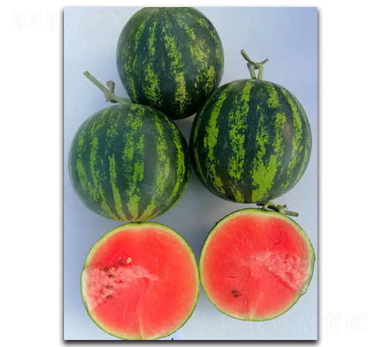 WA12-��������-�һ���ҵ