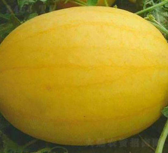 WA07-��������-�һ���ҵ