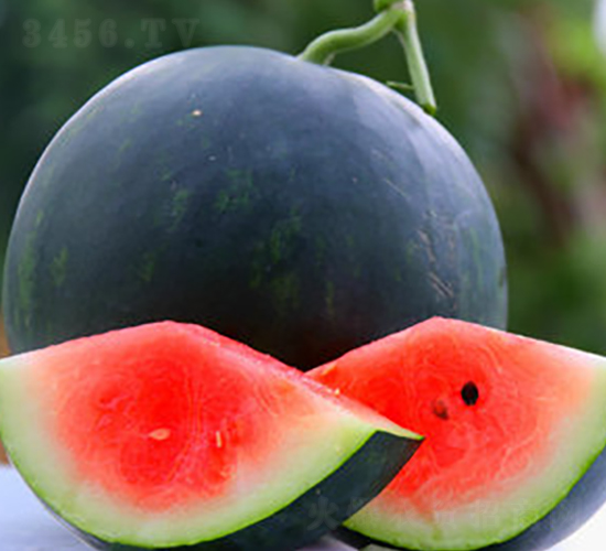 WA06-��������-�һ���ҵ