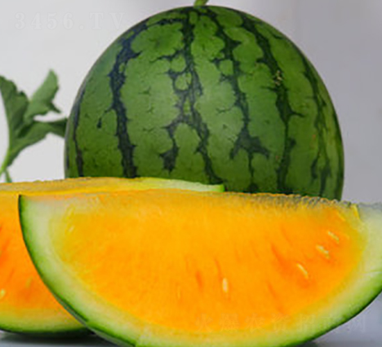 WA02-��������-�һ���ҵ