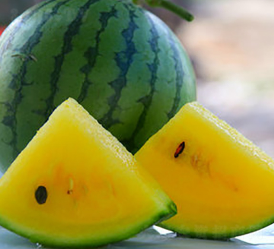 WA01-��������-�һ���ҵ