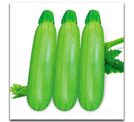 SA08-����«����-�һ���ҵ