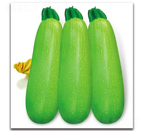 SA07-����«����-�һ���ҵ