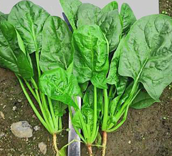 710-��������-�һ���ҵ