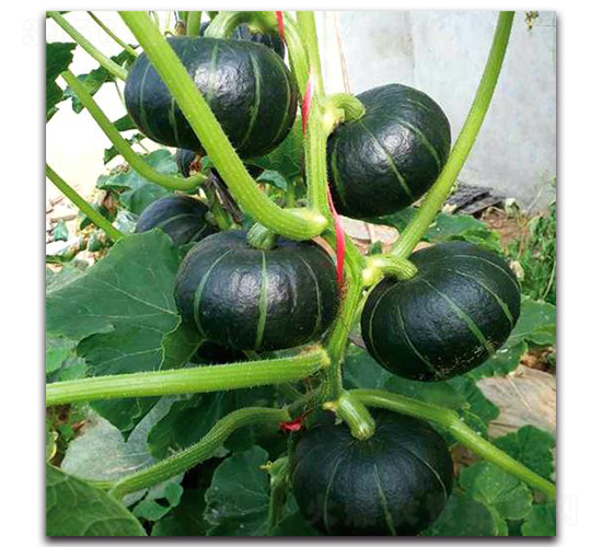 PA08-�Ϲ�����-�һ���ҵ