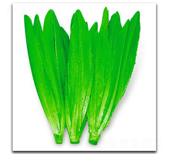 LA07-��������-�һ���ҵ
