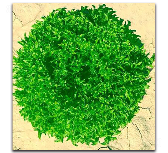 LA04-��������-�һ���ҵ