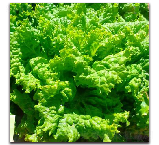 LA03-��������-�һ���ҵ