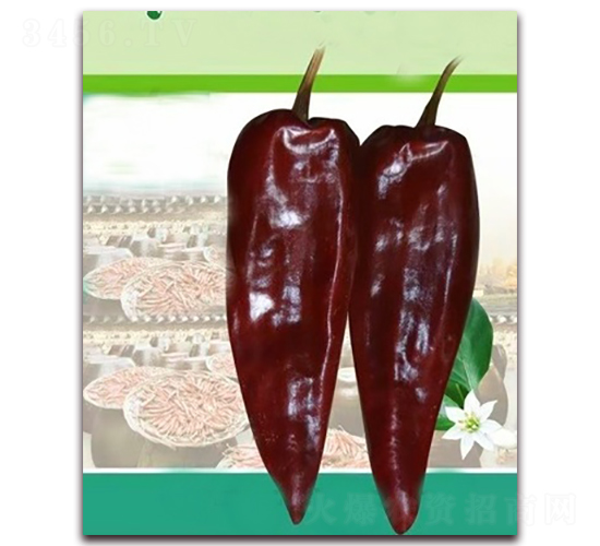 PA13-��������-�һ���ҵ