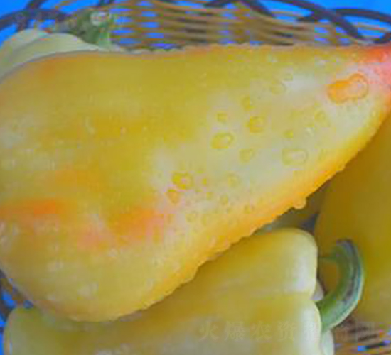 PA11-��������-�һ���ҵ