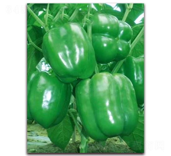 PA07-��������-�һ���ҵ