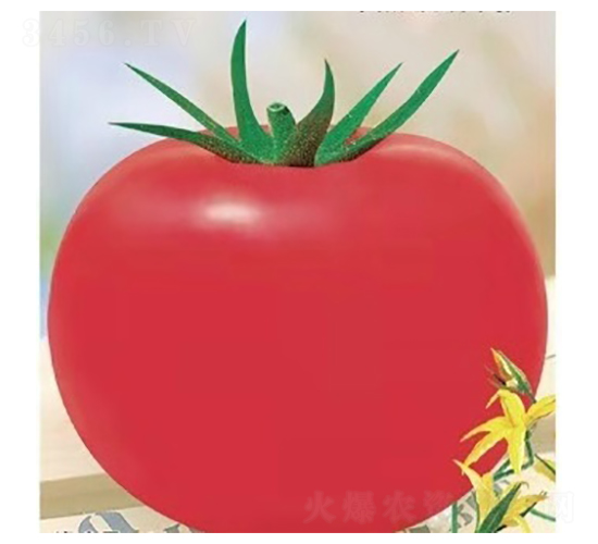 TA09-��������-�һ���ҵ