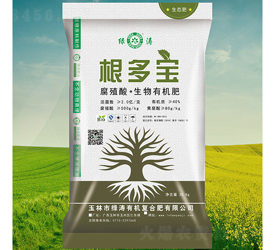 ���౦�����-����