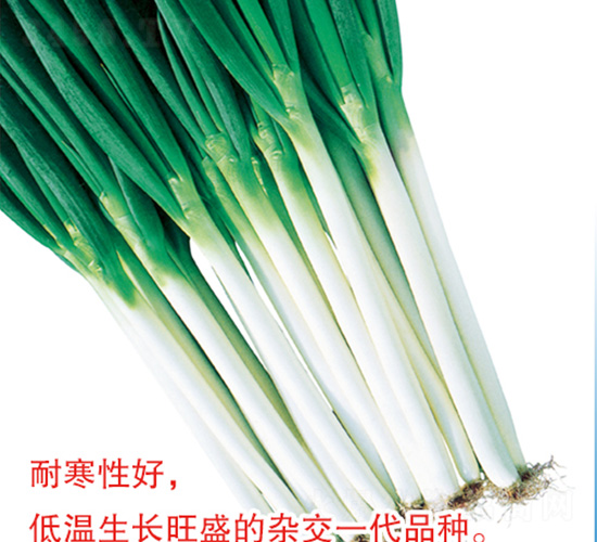 �촨���-�������-�ֶ�ũҵ