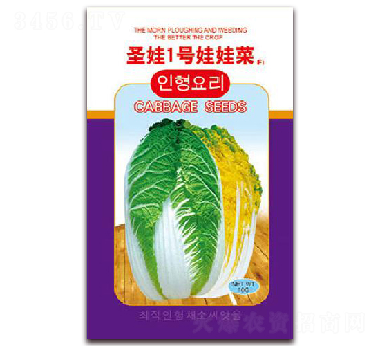 ʥ��һ�����޲�F1-�ײ�����-����