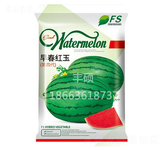 �紺����-��������-��˶��ҵ