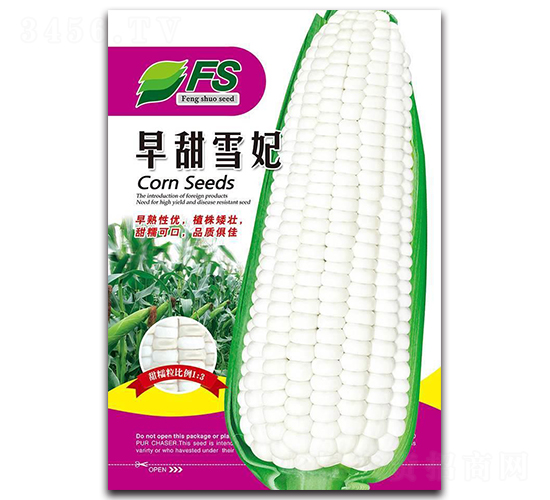 ����ѩ��-��Ŵ��������-��˶��ҵ