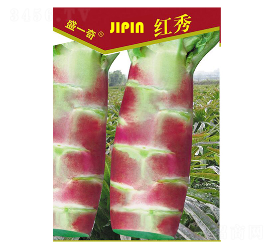 ʢһ�����2��ݫ��-ݫ������-ʢ������