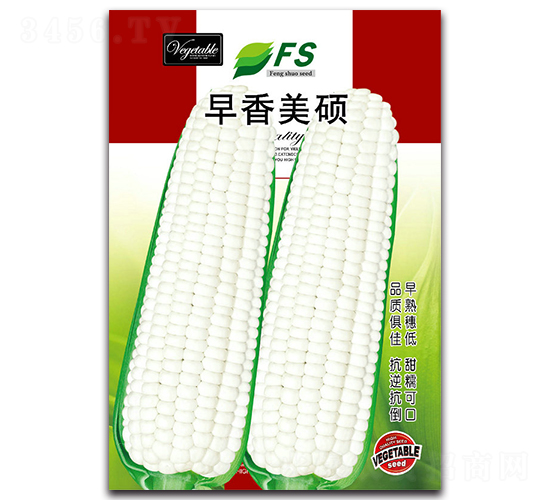 ������˶-��Ŵ��������-��˶��ҵ