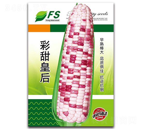 ����ʺ�-��Ŵ��������-��˶��ҵ