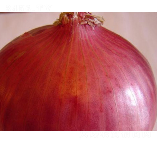 536-�������-��άũҵ