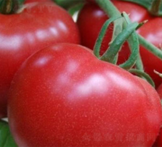 NA118-��������-��άũҵ