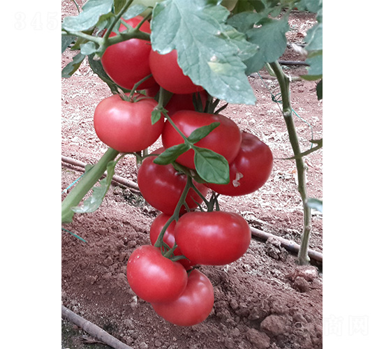 ��ά003-��������-��άũҵ