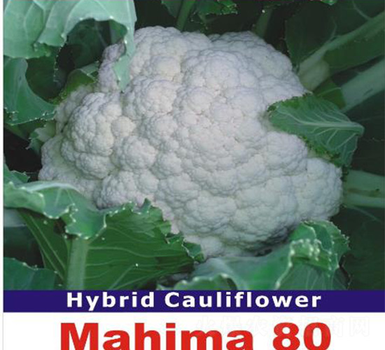 ��ά406-��������-��άũҵ