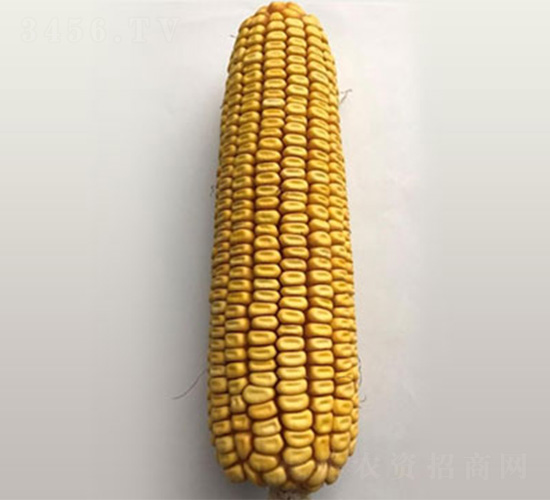 ֣��2201-��������-��άũҵ