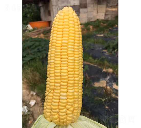 1078-��������-��άũҵ