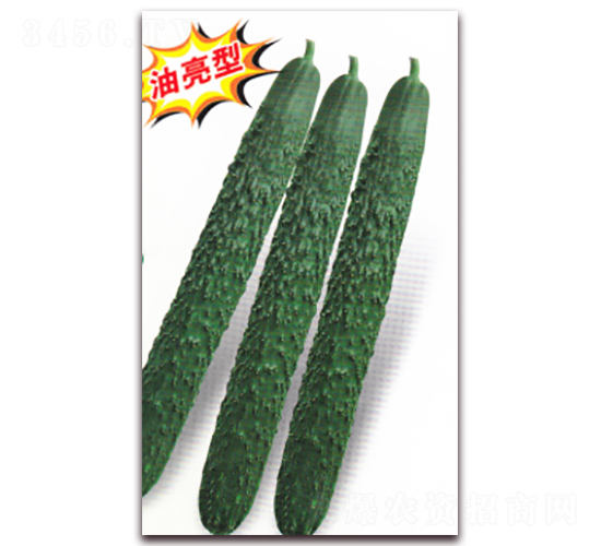 �»���H-001�ƹ�-�ƹ�����-������ҵ
